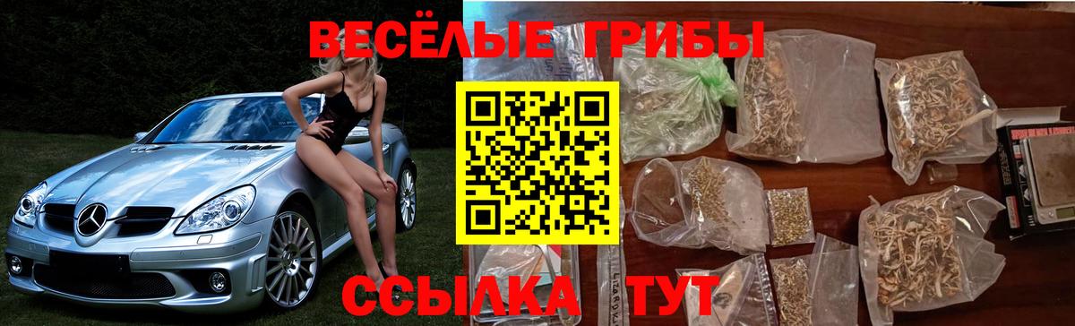 Псилоцибиновые грибы Magic Shrooms  Вход с VPN  Коряжма 